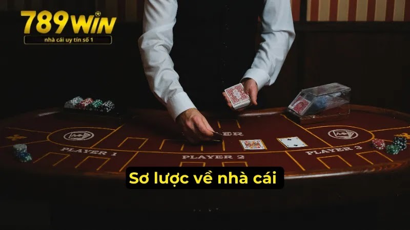 789Win - Thiên Đường Cá Cược Hàng Đầu Trên Thị Trường 2025
