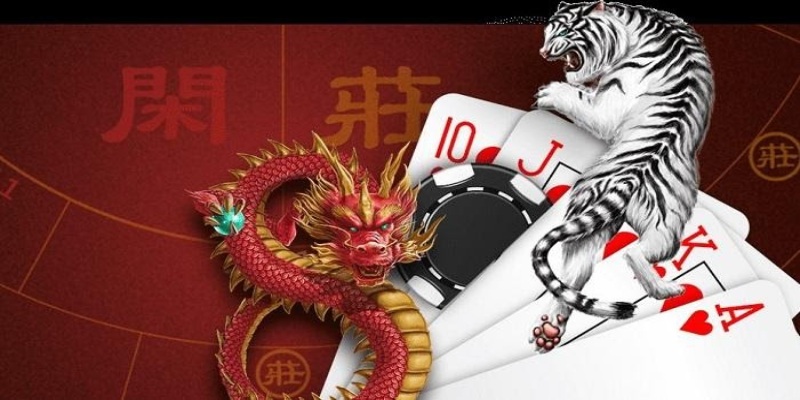 Giới thiệu sơ lược về Rồng Hổ Hitclub