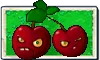 Cherry Bomb seed packet