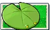 Lily Pad seed packet