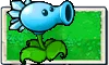 Snow Pea seed packet