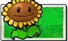 Sunflower seed packet
