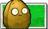 Wall-nut seed packet